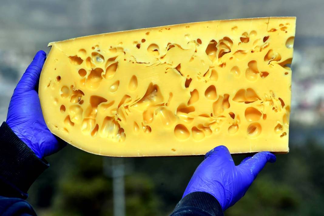 O kentin meşhur peyniri tescillendi: Kilosu 650 TL! Yılda 200 ton üretiliyor, kapış kapış satılıyor 9